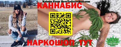 соль ск Будённовск