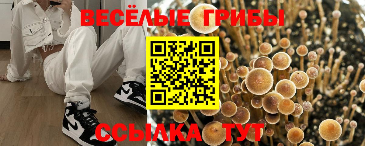 Галлюциногенные грибы мухоморы Сунжа
